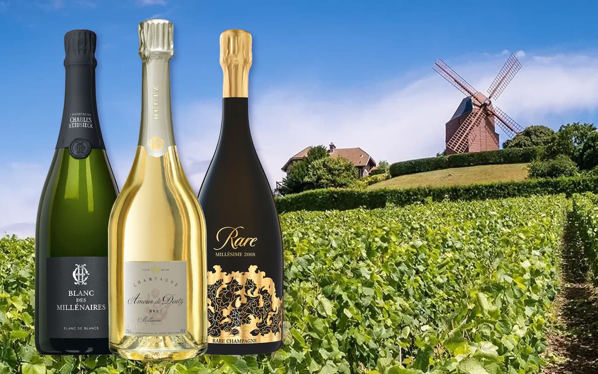 Champagne wine tasting 2024