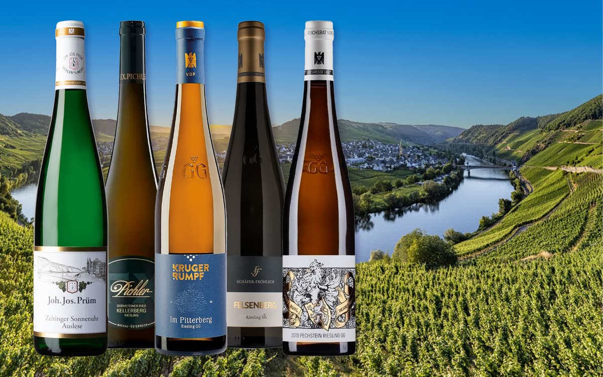 TOP Riesling wine tasting